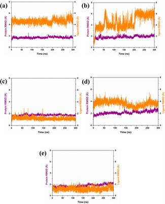 Antifungal potential of marine bacterial compounds in inhibiting Candida albicans Yck2 to overcome echinocandin resistance: a molecular dynamics study